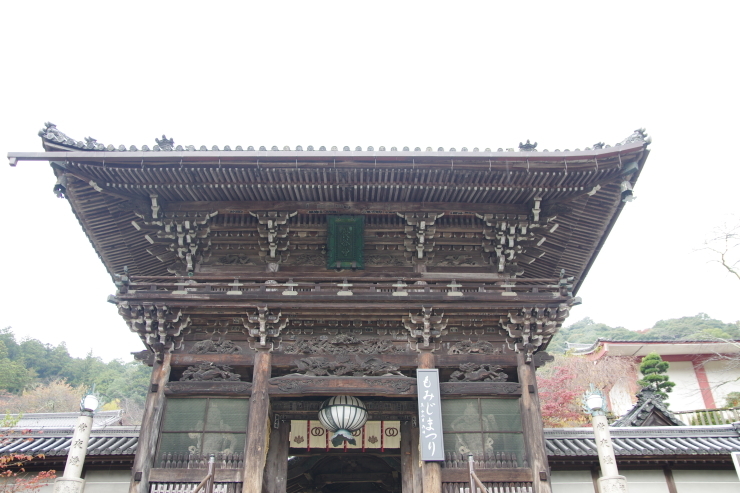 雨の中、室生寺と長谷寺へ_c0056707_21522761.jpg