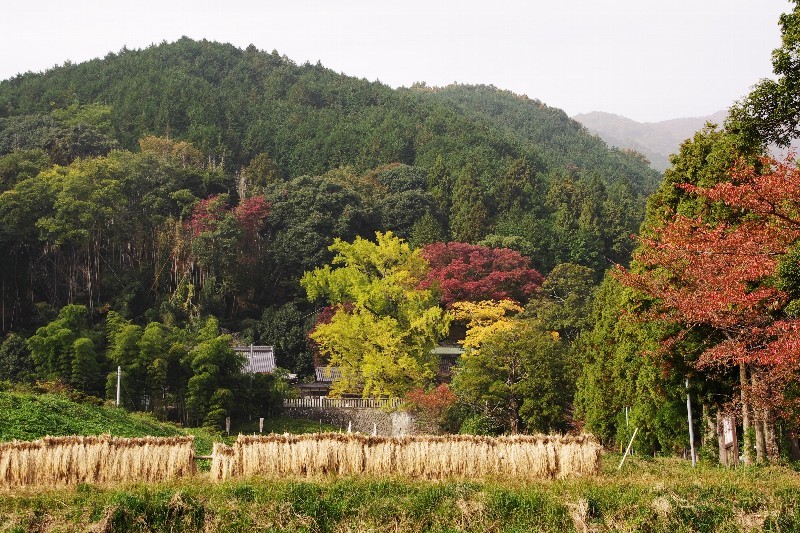 懐かしの一言主神社_d0342307_19070814.jpg