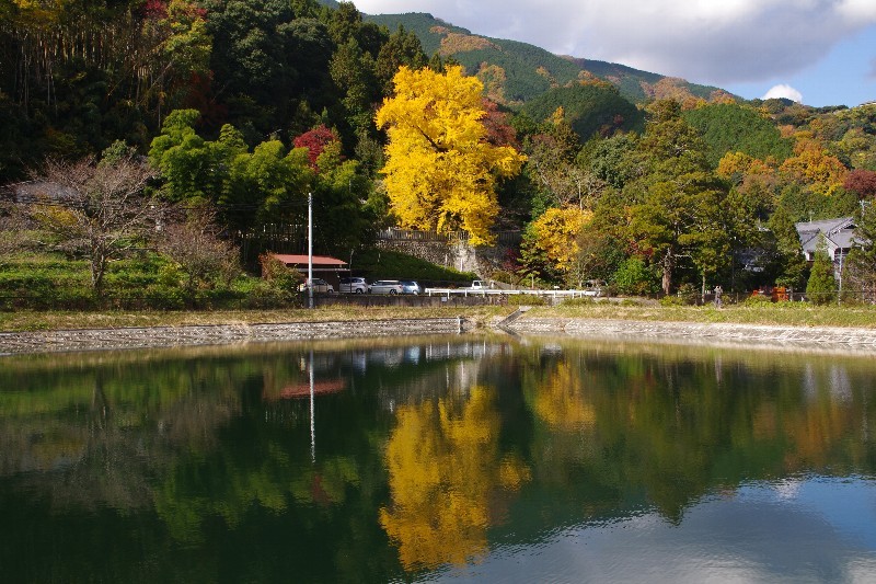 懐かしの一言主神社_d0342307_19095786.jpg