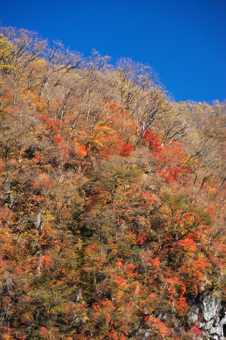 a0263109_8172047.jpg