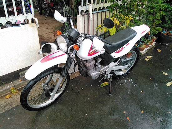 勢いで?!_f0141609_19432442.jpg
