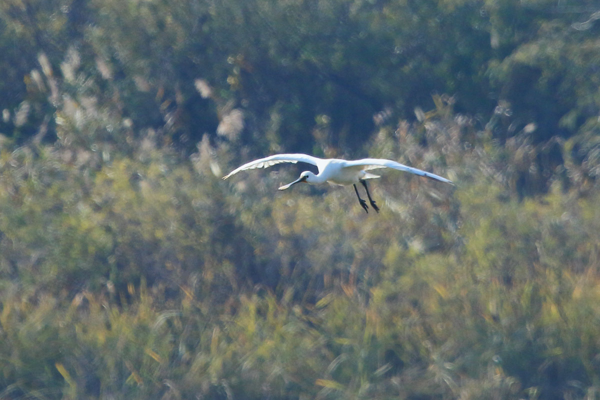 f0349409_14563058.jpg