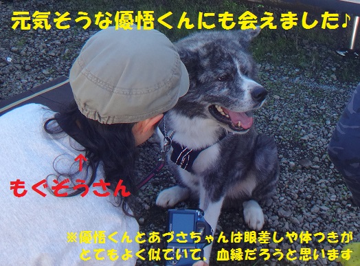 秋田犬と一緒にＢＢＱ♪（その２）_f0121712_15164142.jpg