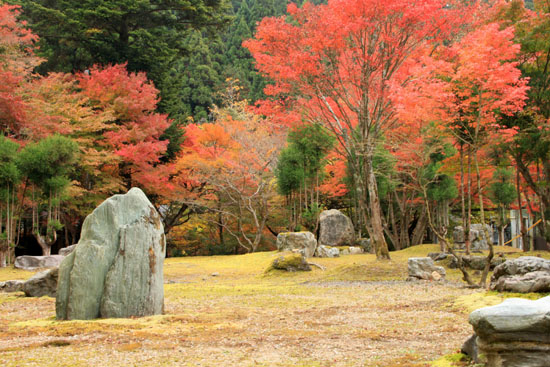 阿弥陀寺　紅葉だより1_e0048413_16423528.jpg