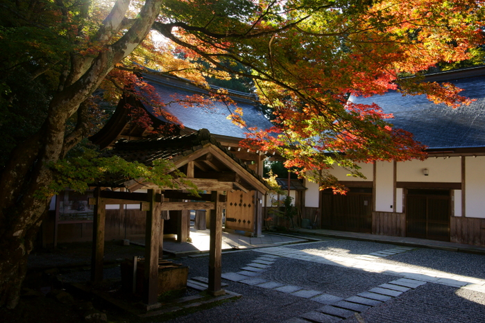 比叡山延暦寺_e0177413_1844519.jpg