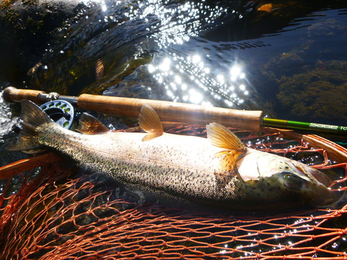 a0236914_10133259.jpg