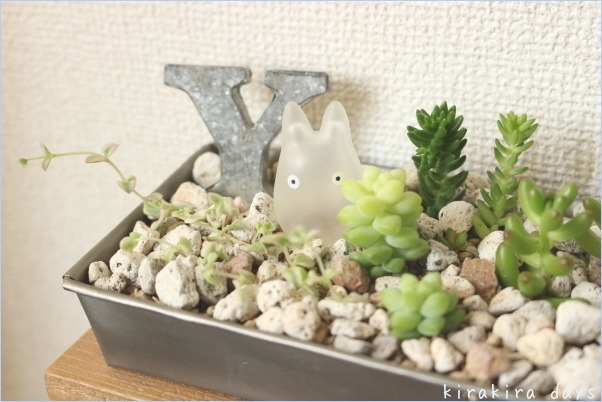 3つ目の多肉の寄せ植え。_f0354014_21231440.jpg
