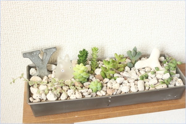3つ目の多肉の寄せ植え。_f0354014_21231603.jpg