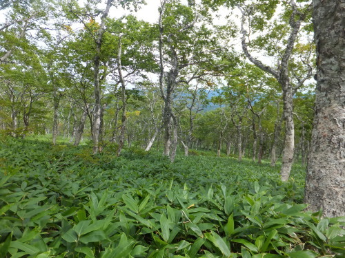b0300818_15135622.jpg
