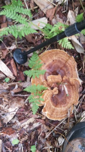 b0300818_15185940.jpg