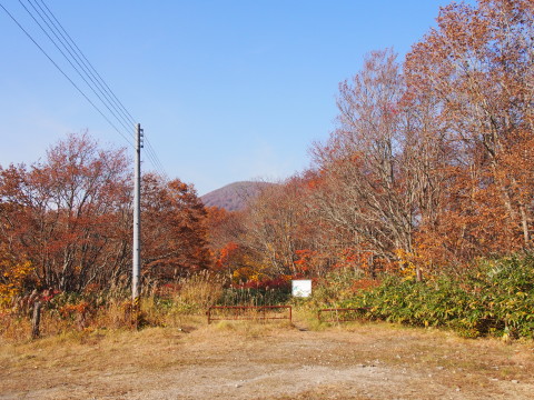 紅葉の十和利山(新郷村)*2015.10.18_b0147224_21453326.jpg