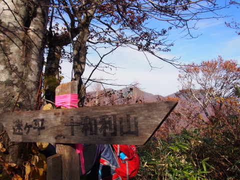 紅葉の十和利山(新郷村)*2015.10.18_b0147224_21531481.jpg