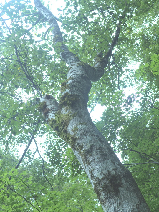 b0244424_22125389.jpg