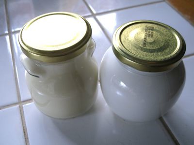 ココナッツヨーグルト 豆乳ヨーグルトの作り方 ｂのページ