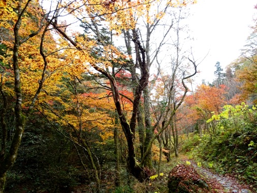 紅葉の古岩屋不動明王から大宝寺参り_f0213825_1330406.jpg