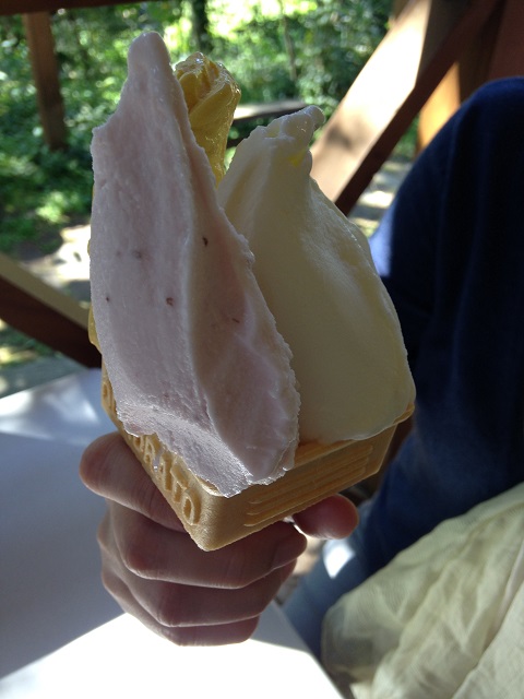 e0303726_16113679.jpg