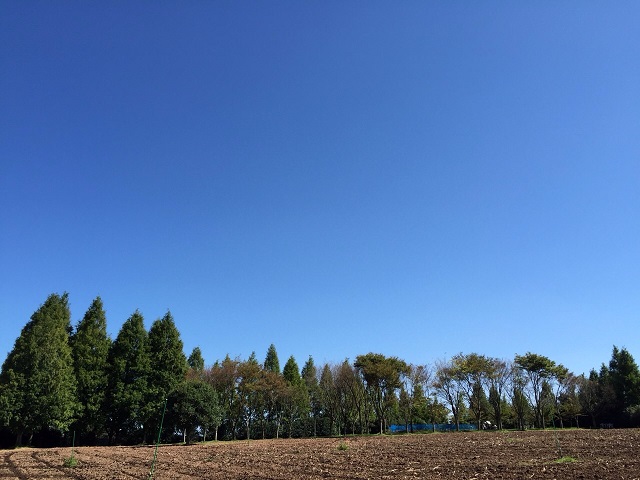 e0303726_16212478.jpg