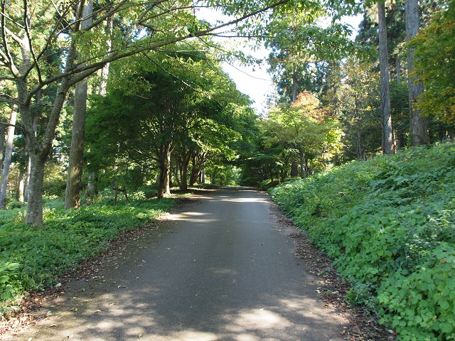 e0303726_192659100.jpg