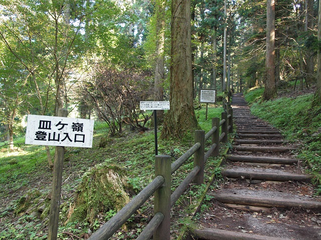 e0303726_19384247.jpg