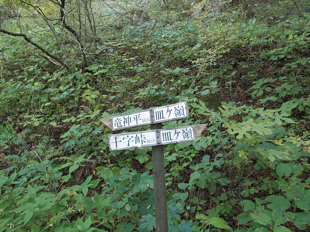 e0303726_19573544.jpg