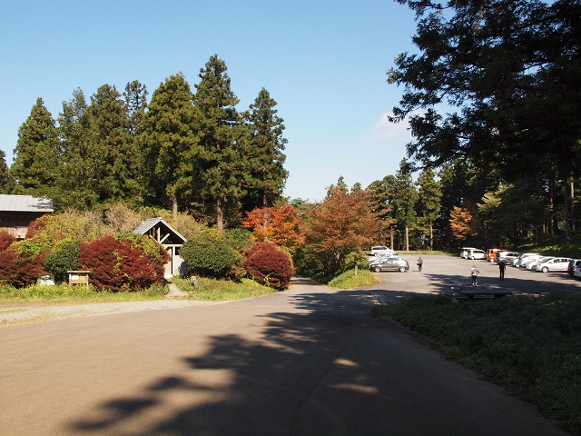 e0303726_1974149.jpg