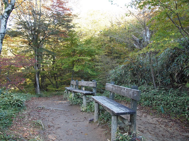 e0303726_20121310.jpg