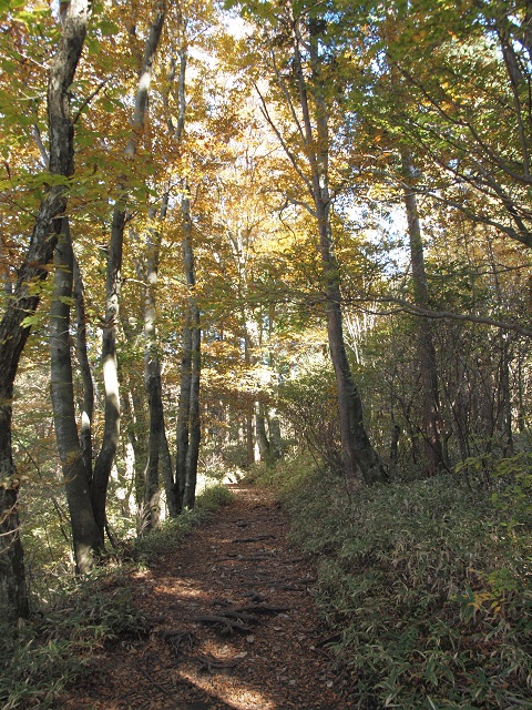 e0303726_20132976.jpg