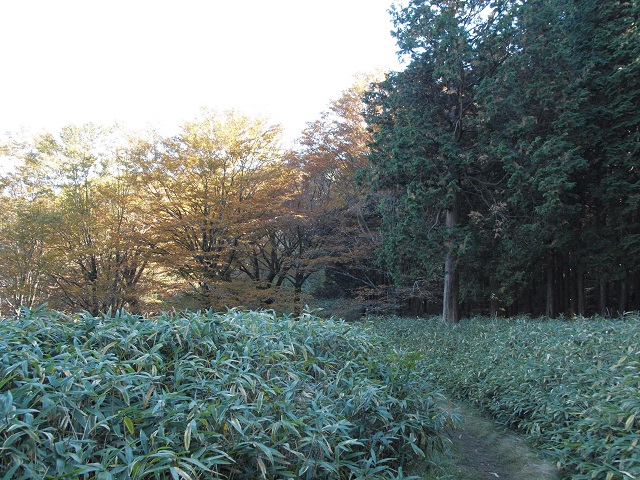 e0303726_20143941.jpg