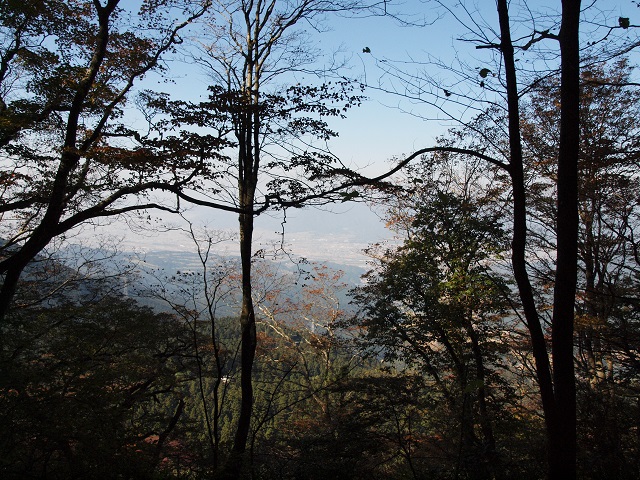 e0303726_2021694.jpg