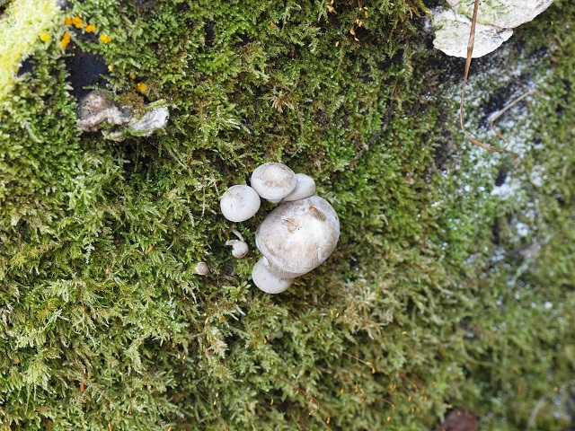 e0303726_205081.jpg