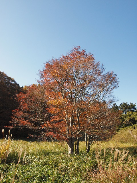 e0303726_20542231.jpg