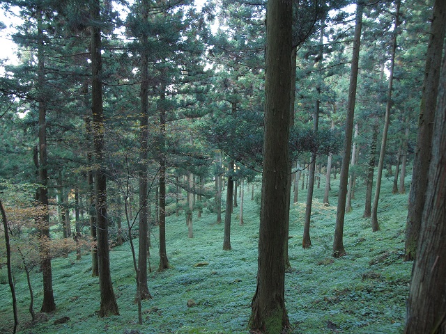 e0303726_2152868.jpg