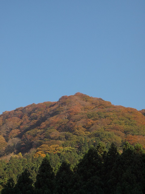 e0303726_2184596.jpg