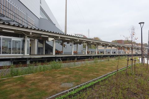 b0042334_18292796.jpg