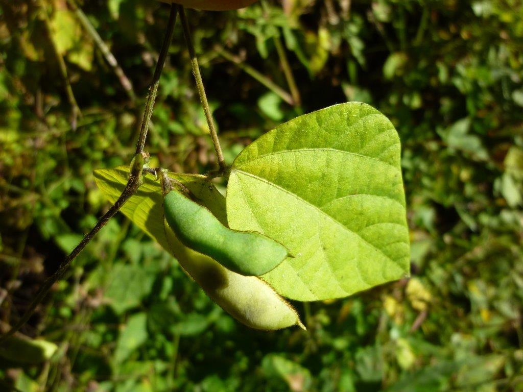 b0298935_21302959.jpg