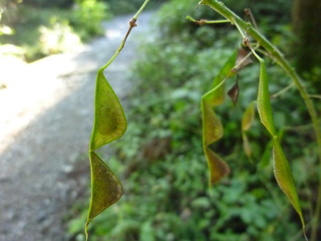 b0298935_21303708.jpg