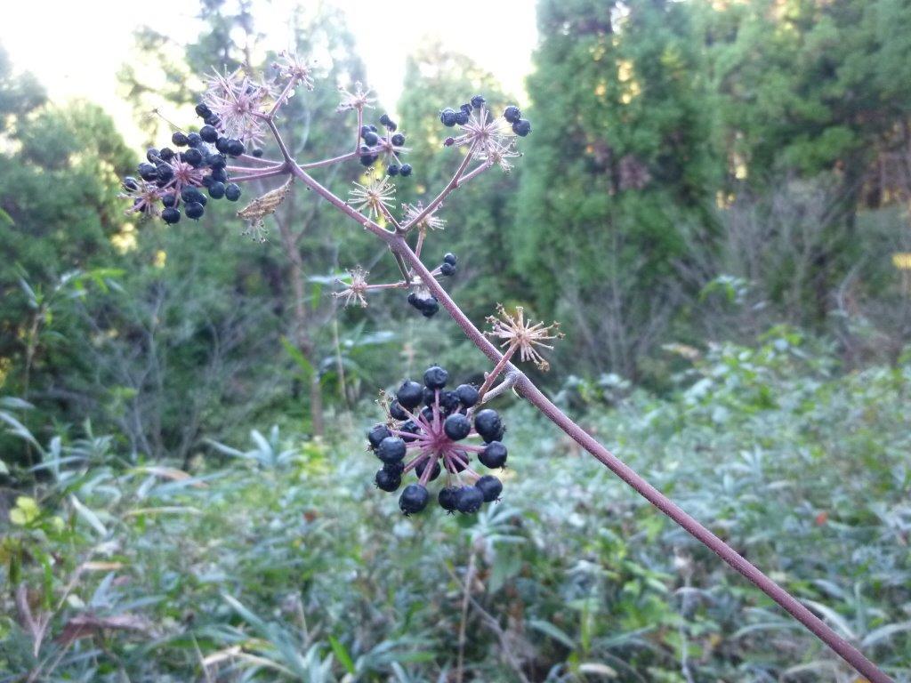 b0298935_21353064.jpg