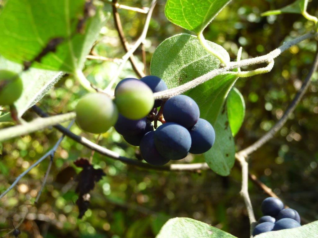 b0298935_21353240.jpg