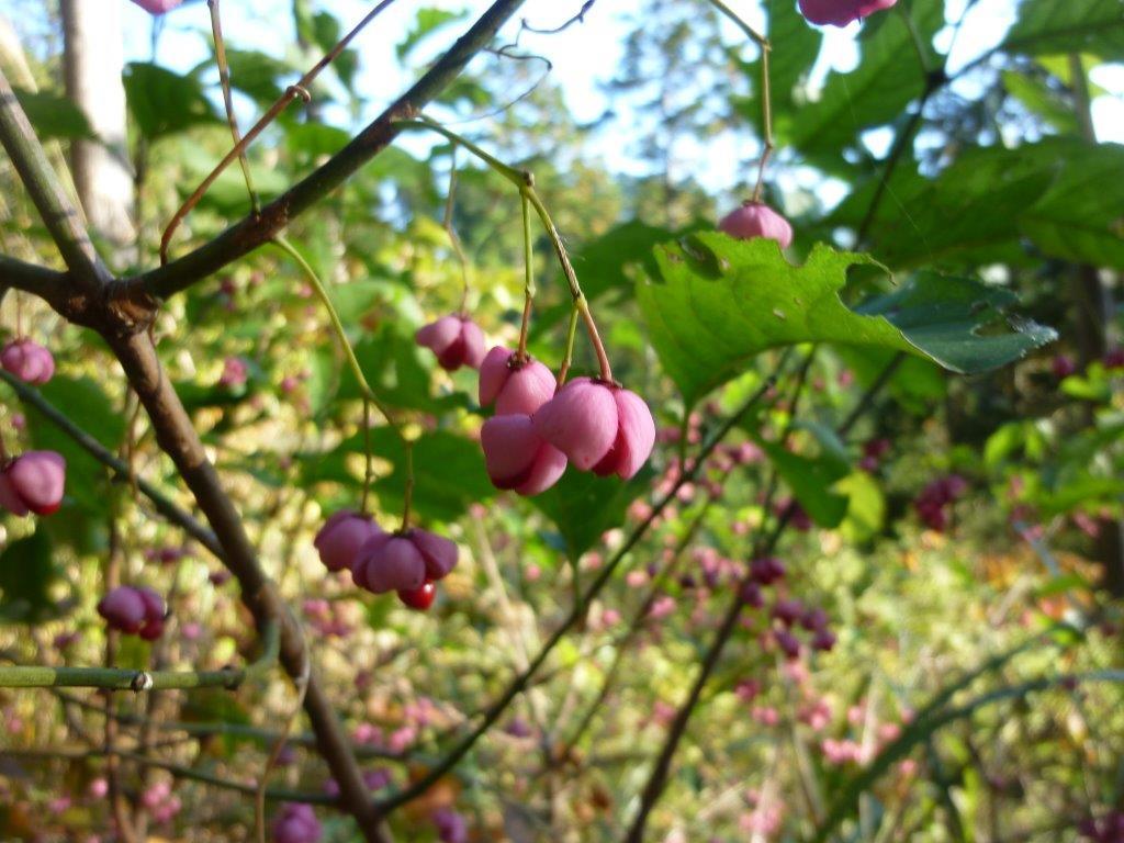 b0298935_21382433.jpg