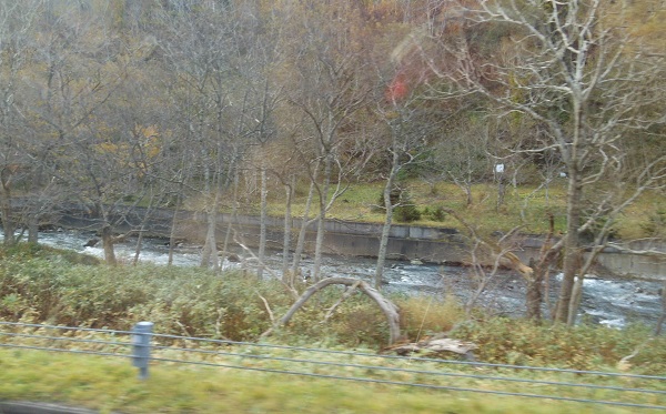 f0042737_862046.jpg