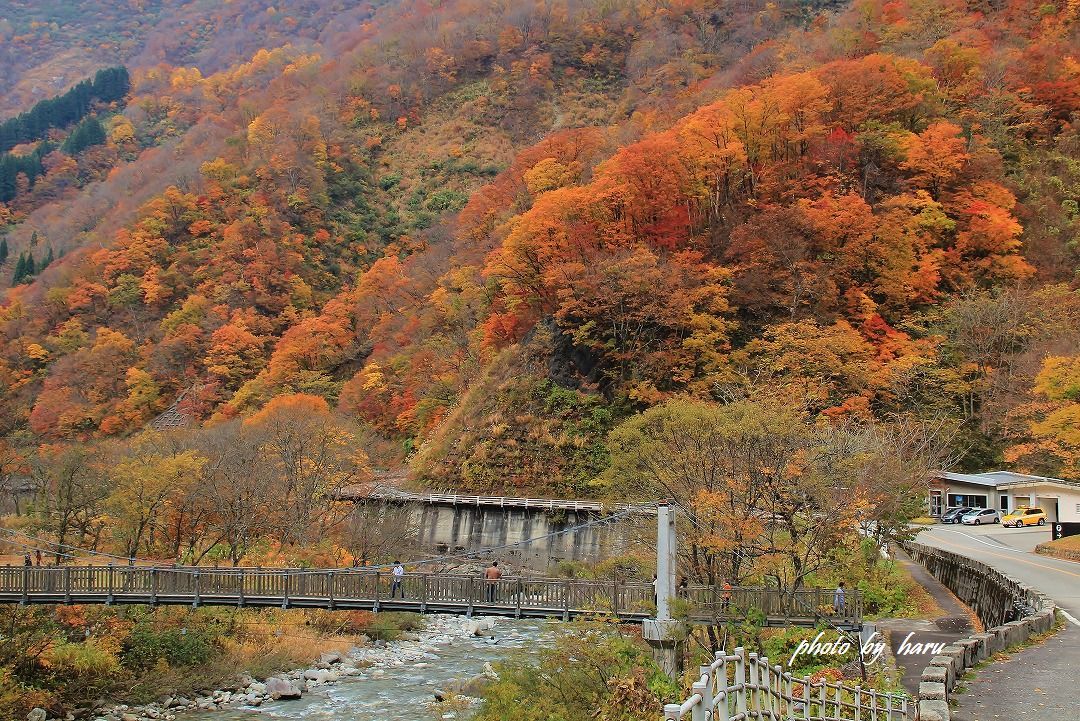 f0297537_18134473.jpg