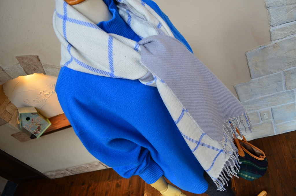 ”秋冬-Style New!～2015 A&W No.51\"_d0153941_15151589.jpg