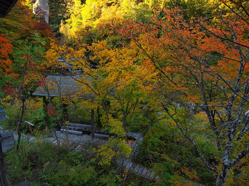 a0106043_2212514.jpg