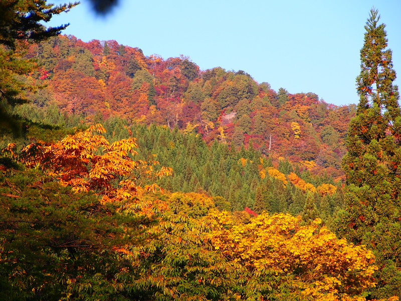 東北ツーリング 2015秋　　＜鷹の湯温泉＞　　　Oct. 18, 2015_a0106043_22165823.jpg