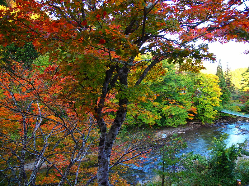 東北ツーリング 2015秋　　＜鷹の湯温泉＞　　　Oct. 18, 2015_a0106043_2283810.jpg