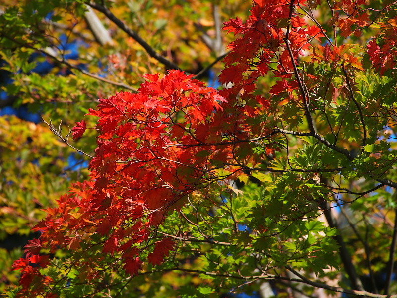 東北ツーリング 2015秋　　＜角館＞　　　Oct. 18, 2015_a0106043_2333363.jpg