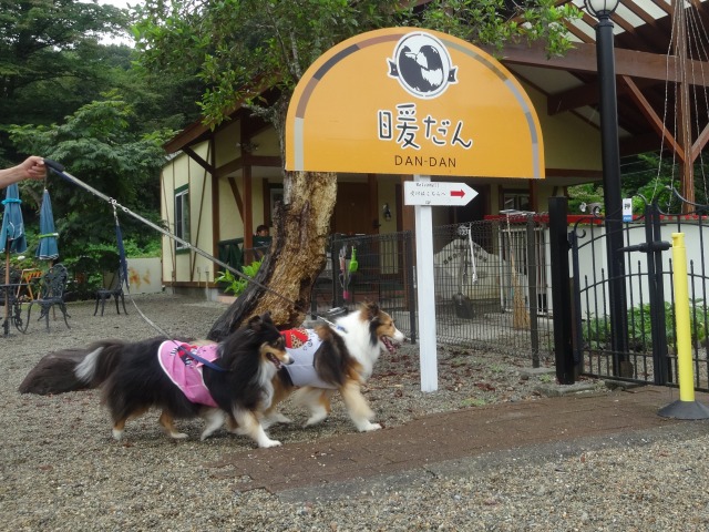 夏休み楽しい場所へ行った事_e0195743_2213746.jpg