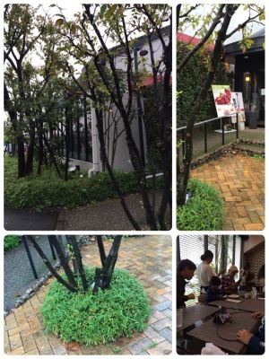 c0206645_16073589.jpeg