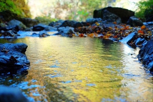 TRIP TO Mt.KAWANORI  ~in autumn 2015~_c0228945_18431991.jpg