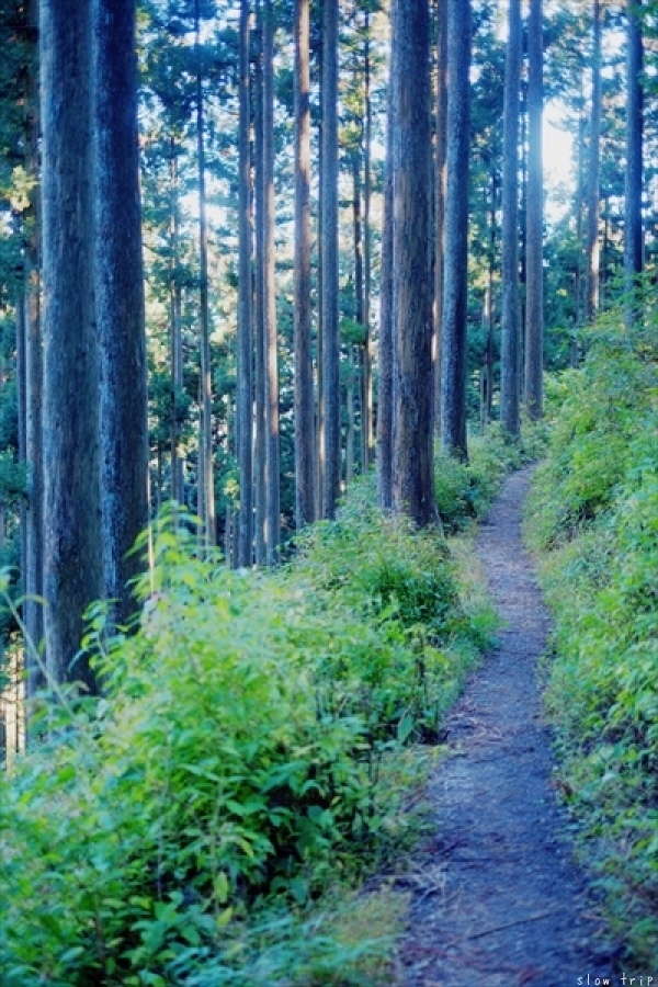 TRIP TO Mt.KAWANORI  ~in autumn 2015~_c0228945_18485688.jpg